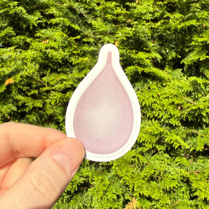 Red Blood Cell Morphology Sticker
