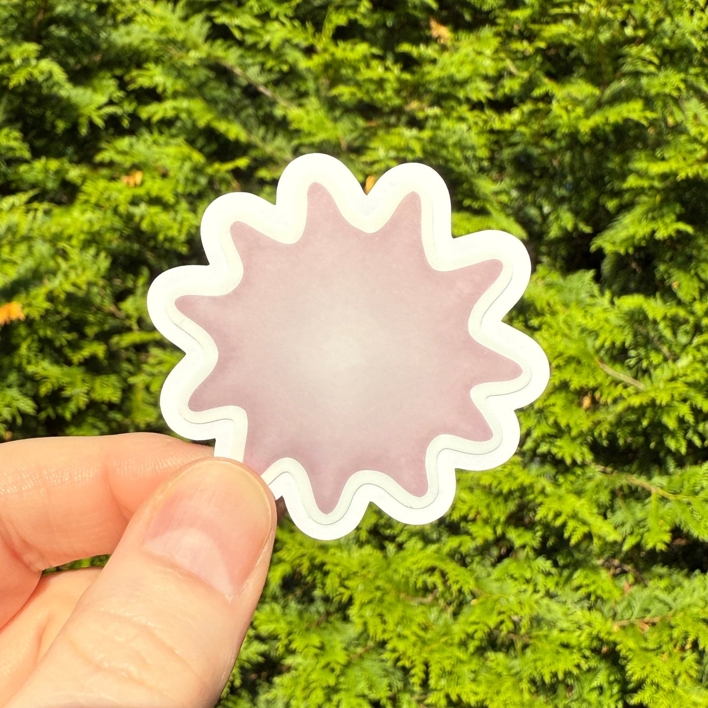 Red Blood Cell Morphology Sticker