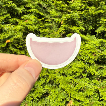 Red Blood Cell Morphology Sticker