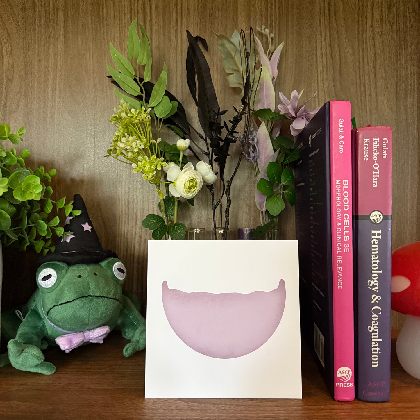 Red Blood Cell Morphology Print