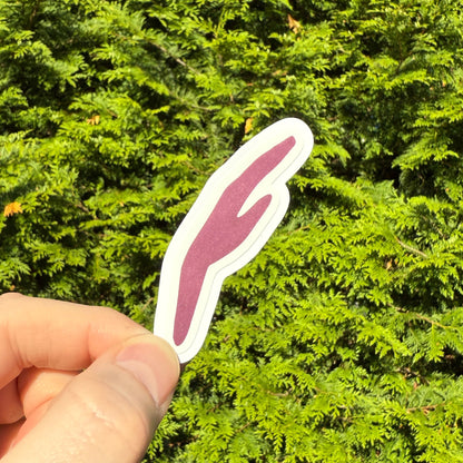 Red Blood Cell Morphology Sticker