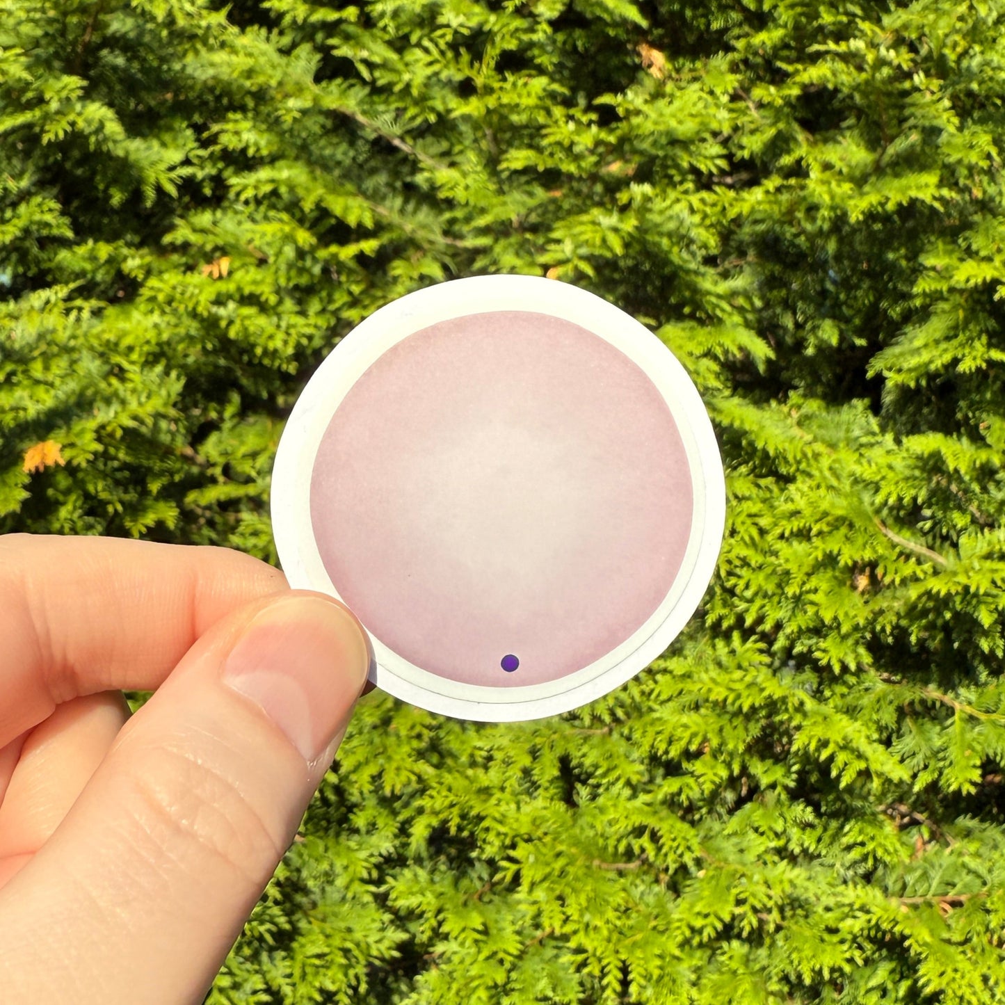 Red Blood Cell Morphology Sticker