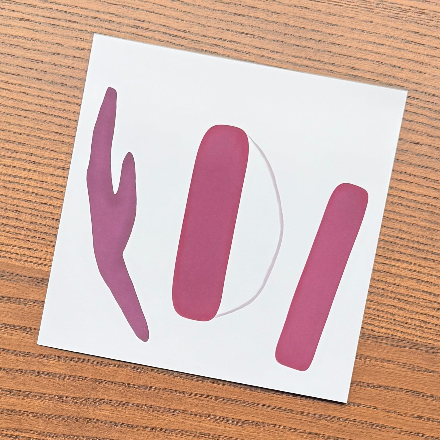 Red Blood Cell Morphology Print