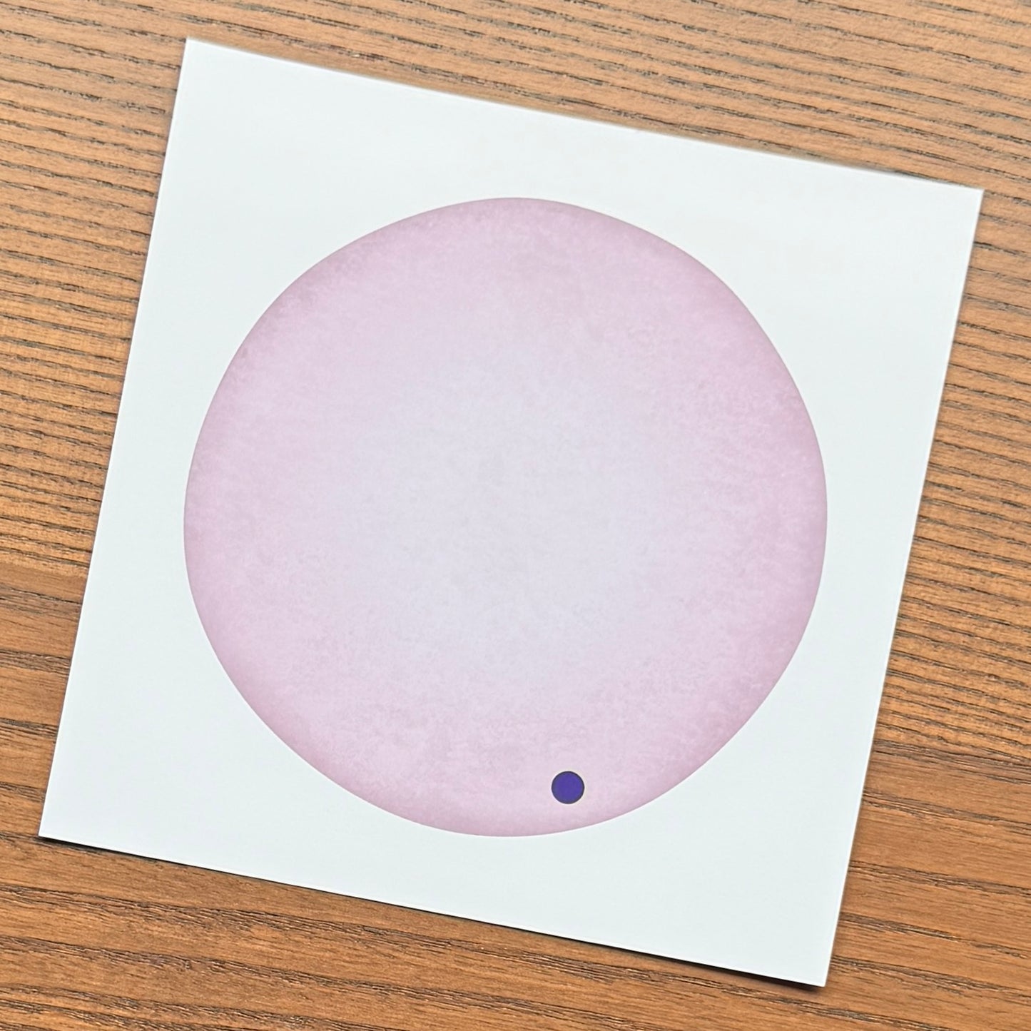 Red Blood Cell Morphology Print