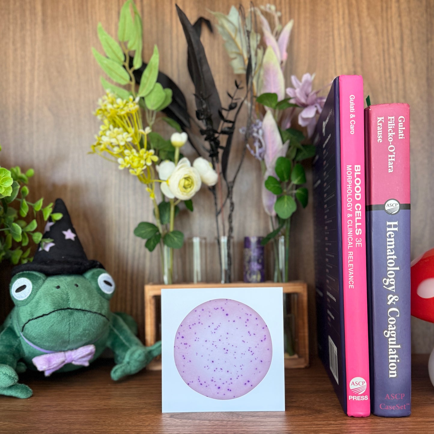 Red Blood Cell Morphology Print