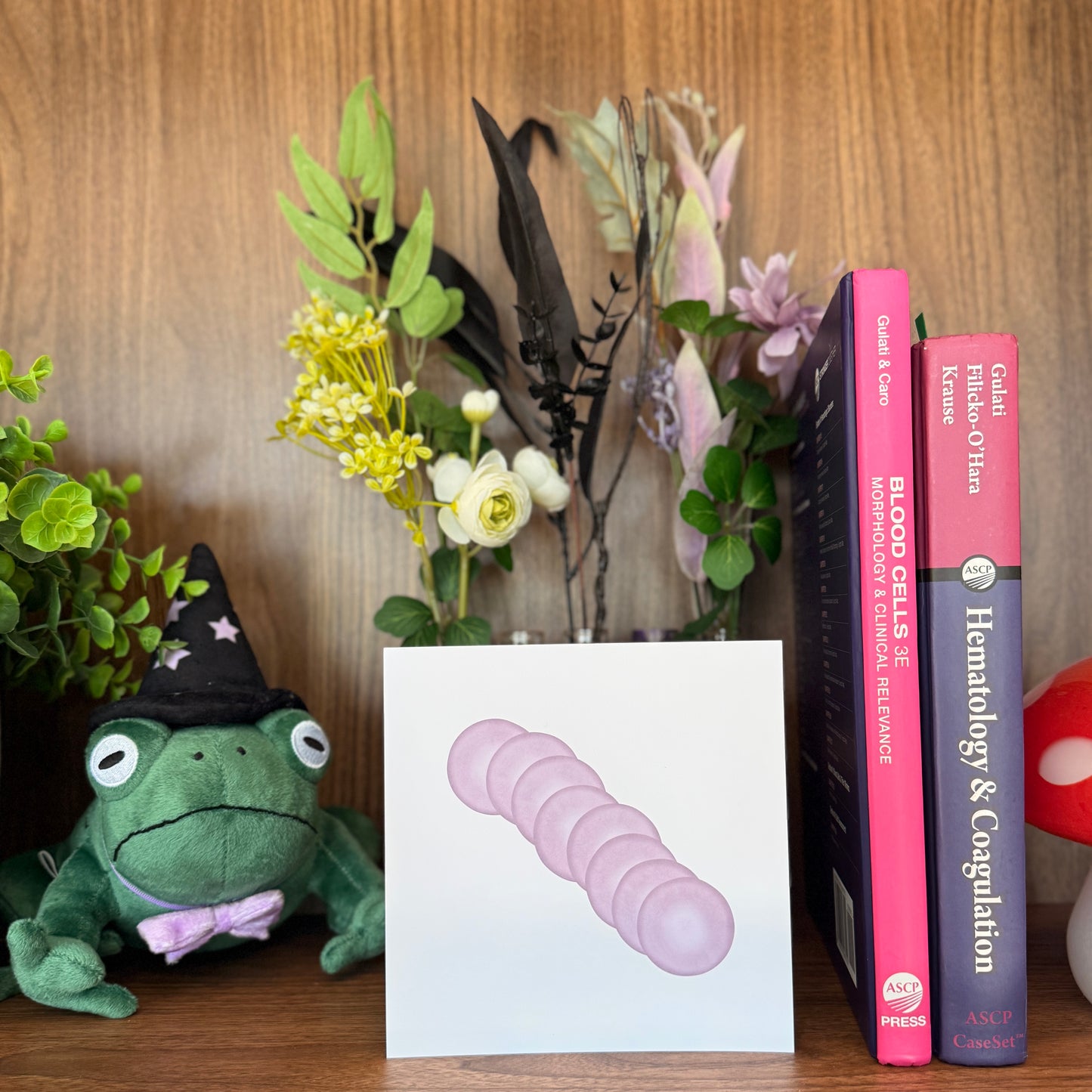 Red Blood Cell Morphology Print
