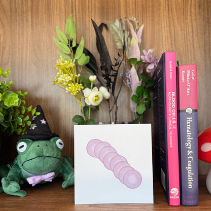 Red Blood Cell Morphology Print