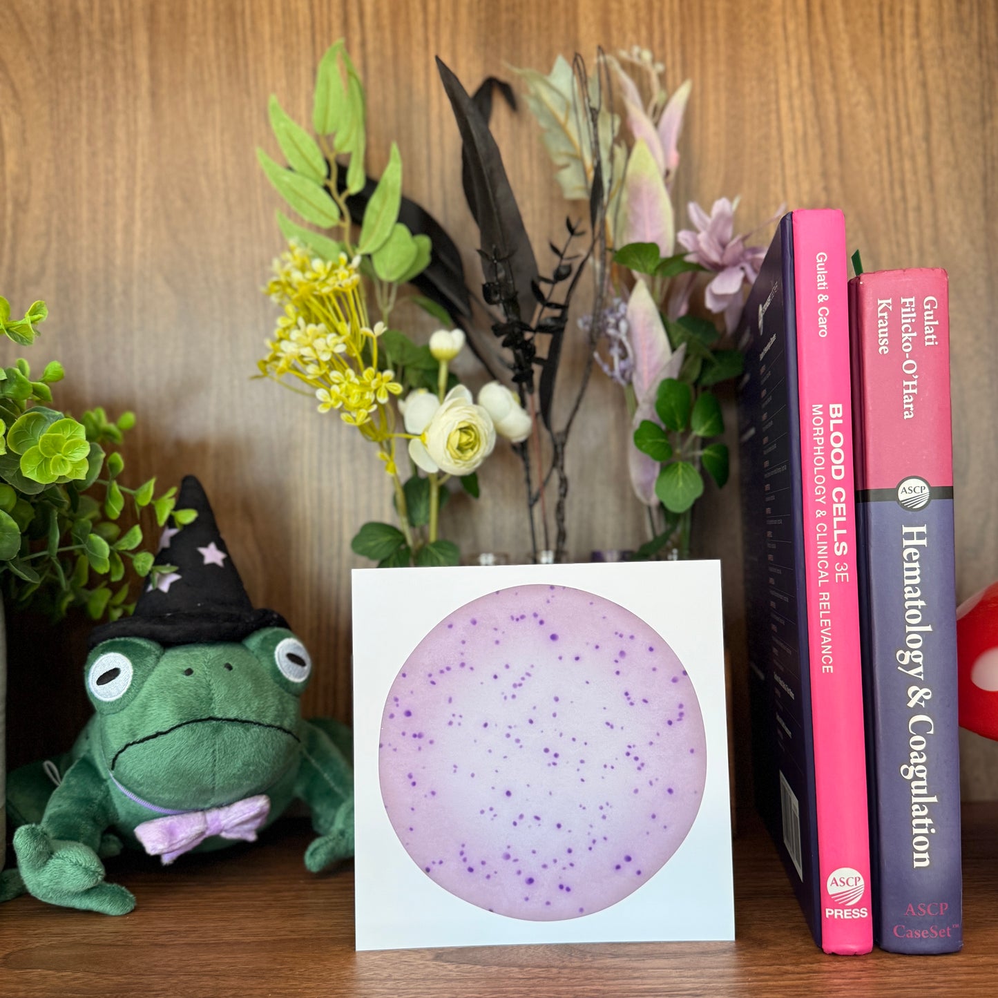 Red Blood Cell Morphology Print