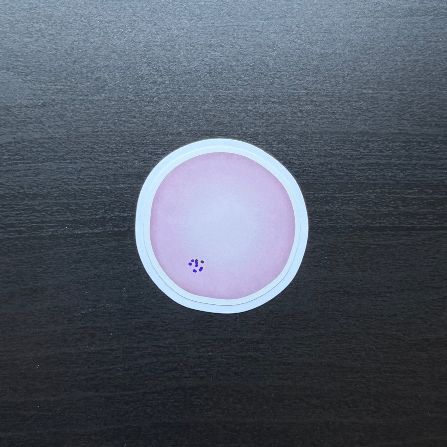 Red Blood Cell Morphology Sticker