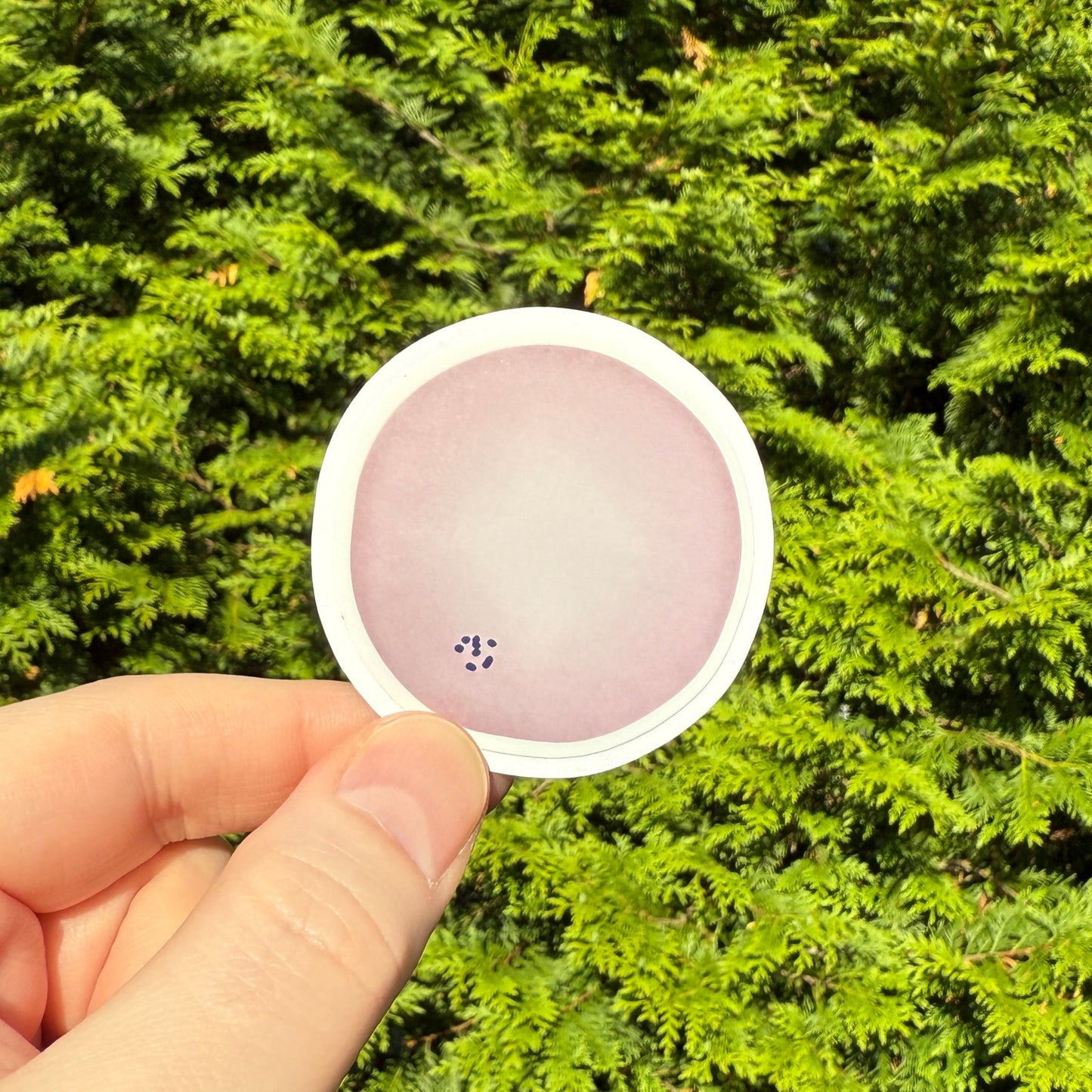Red Blood Cell Morphology Sticker