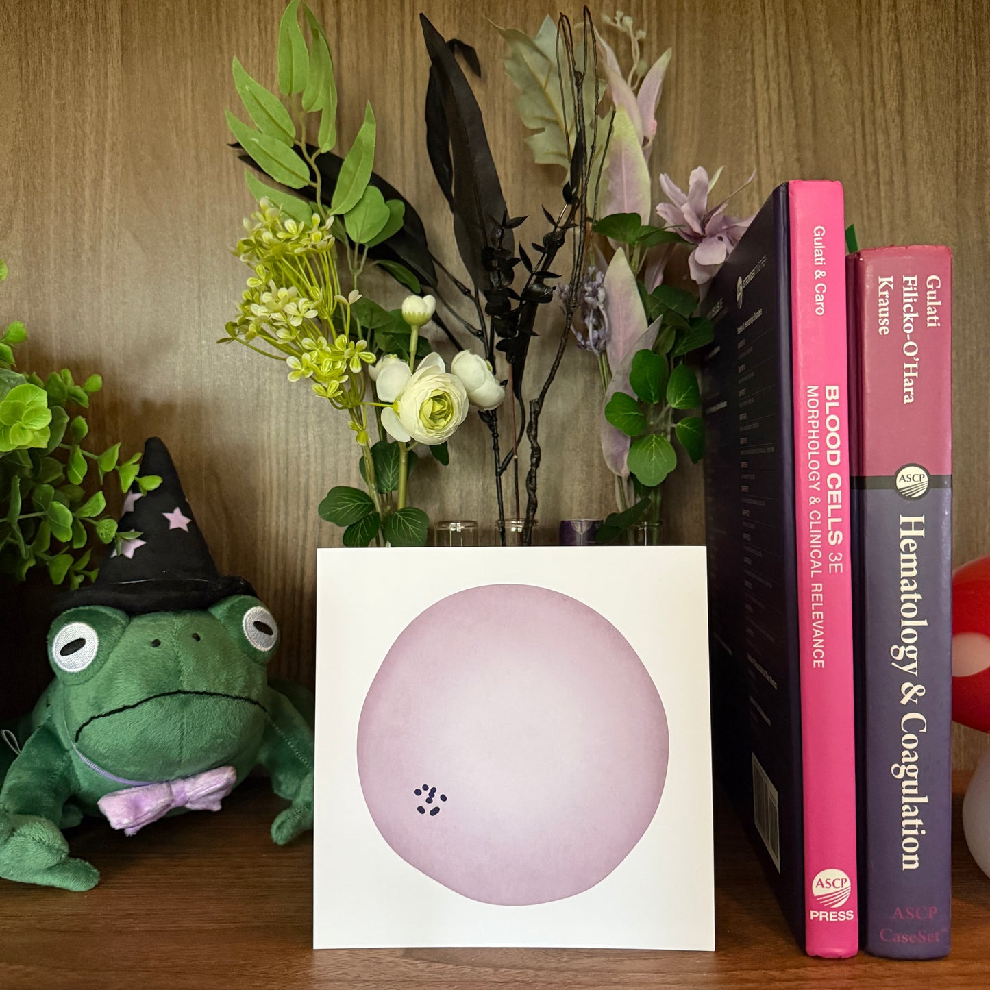 Red Blood Cell Morphology Print