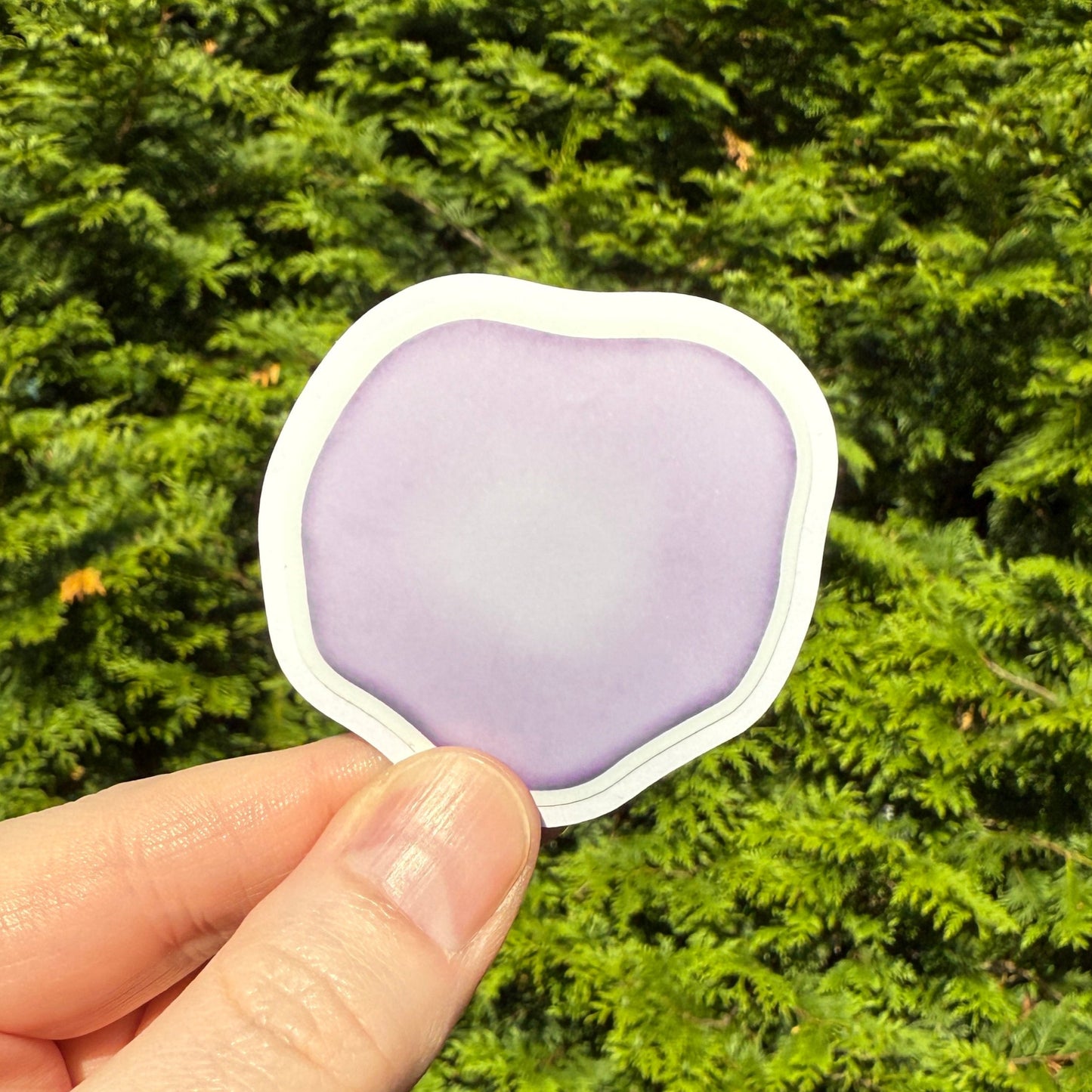 Red Blood Cell Morphology Sticker
